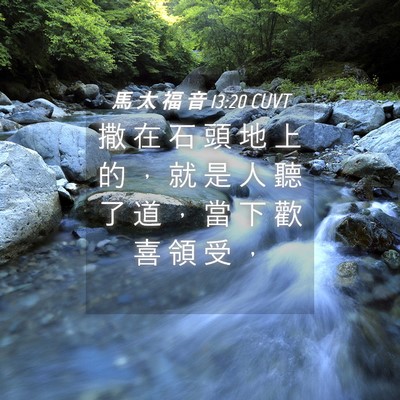 Picture 04 - 馬 太 福 音 13:20 CUVT - 撒 在 石 頭 地 上 的 ， 就 是 人 聽 - Bible Verse Picture