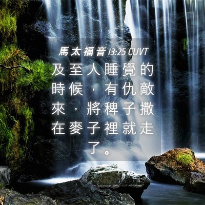Picture 04 - 馬 太 福 音 13:25 CUVT - 及 至 人 睡 覺 的 時 候 ， 有 仇 敵 - Bible Verse Picture