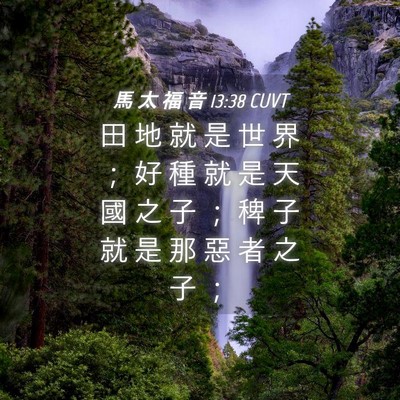 Picture 04 - 馬 太 福 音 13:38 CUVT - 田 地 就 是 世 界 ； 好 種 就 是 天 - Bible Verse Picture