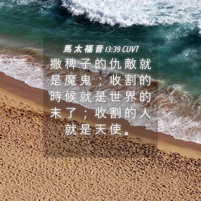 Picture 04 - 馬 太 福 音 13:39 CUVT - 撒 稗 子 的 仇 敵 就 是 魔 鬼 ； 收 - Bible Verse Picture