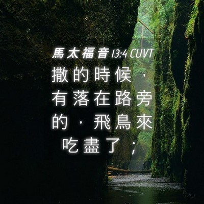 Picture 04 - 馬 太 福 音 13:4 CUVT - 撒 的 時 候 ， 有 落 在 路 旁 的 ， - Bible Verse Picture