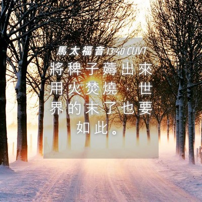 Picture 04 - 馬 太 福 音 13:40 CUVT - 將 稗 子 薅 出 來 用 火 焚 燒 ， 世 - Bible Verse Picture