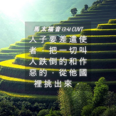 Picture 04 - 馬 太 福 音 13:41 CUVT - 人 子 要 差 遣 使 者 ， 把 一 切 叫 - Bible Verse Picture