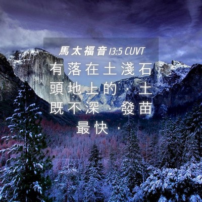 Picture 04 - 馬 太 福 音 13:5 CUVT - 有 落 在 土 淺 石 頭 地 上 的 ， 土 - Bible Verse Picture