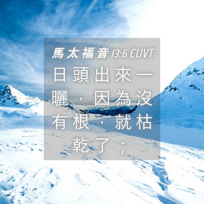 Picture 04 - 馬 太 福 音 13:6 CUVT - 日 頭 出 來 一 曬 ， 因 為 沒 有 根 - Bible Verse Picture
