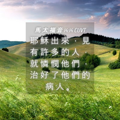Picture 04 - 馬 太 福 音 14:14 CUVT - 耶 穌 出 來 ， 見 有 許 多 的 人 ， - Bible Verse Picture