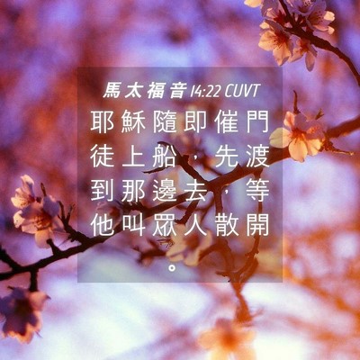 Picture 04 - 馬 太 福 音 14:22 CUVT - 耶 穌 隨 即 催 門 徒 上 船 ， 先 渡 - Bible Verse Picture