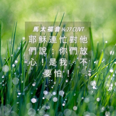 Picture 04 - 馬 太 福 音 14:27 CUVT - 耶 穌 連 忙 對 他 們 說 ： 你 們 放 - Bible Verse Picture