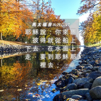 Picture 04 - 馬 太 福 音 14:29 CUVT - 耶 穌 說 ： 你 來 罷 。 彼 得 就 從 - Bible Verse Picture