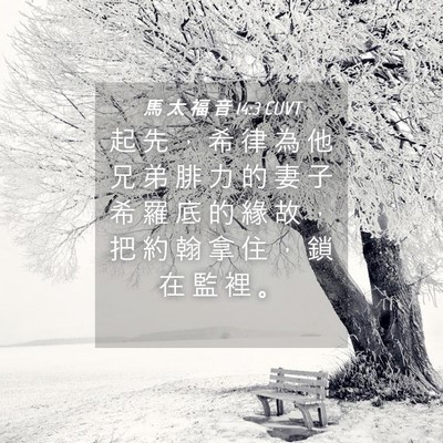 Picture 04 - 馬 太 福 音 14:3 CUVT - 起 先 ， 希 律 為 他 兄 弟 腓 力 的 - Bible Verse Picture