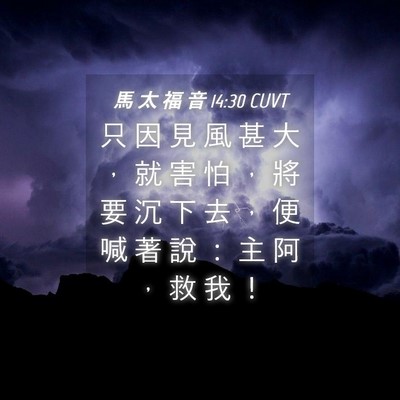Picture 04 - 馬 太 福 音 14:30 CUVT - 只 因 見 風 甚 大 ， 就 害 怕 ， 將 - Bible Verse Picture