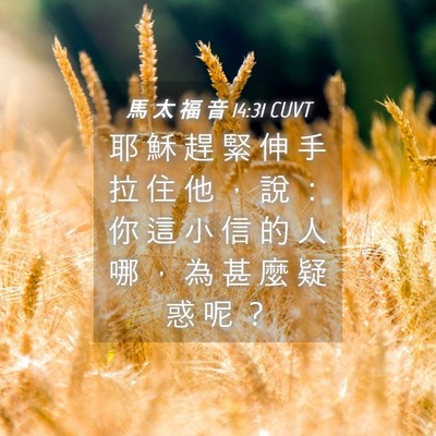 Picture 04 - 馬 太 福 音 14:31 CUVT - 耶 穌 趕 緊 伸 手 拉 住 他 ， 說 ： - Bible Verse Picture