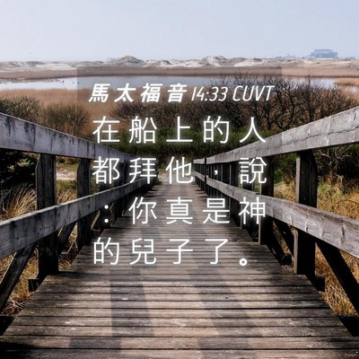Picture 04 - 馬 太 福 音 14:33 CUVT - 在 船 上 的 人 都 拜 他 ， 說 ： 你 - Bible Verse Picture