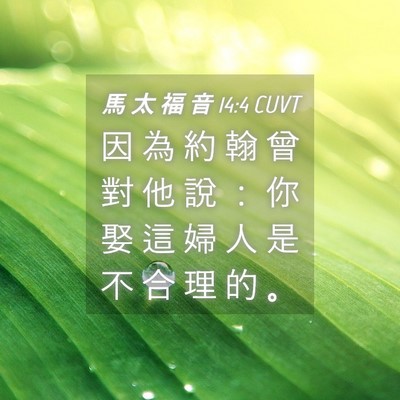 Picture 04 - 馬 太 福 音 14:4 CUVT - 因 為 約 翰 曾 對 他 說 ： 你 娶 這 - Bible Verse Picture