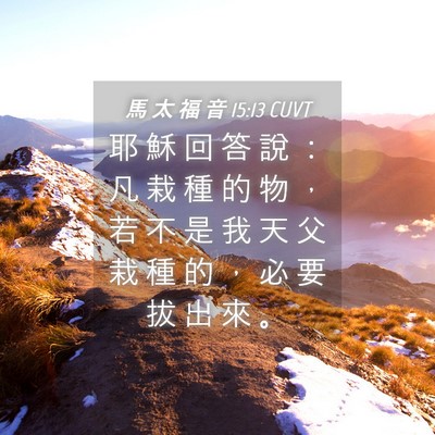 Picture 04 - 馬 太 福 音 15:13 CUVT - 耶 穌 回 答 說 ： 凡 栽 種 的 物 ， - Bible Verse Picture
