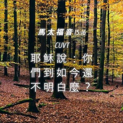 Picture 04 - 馬 太 福 音 15:16 CUVT - 耶 穌 說 ： 你 們 到 如 今 還 不 明 - Bible Verse Picture