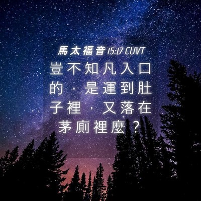 Picture 04 - 馬 太 福 音 15:17 CUVT - 豈 不 知 凡 入 口 的 ， 是 運 到 肚 - Bible Verse Picture