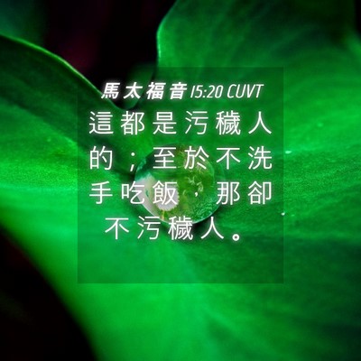 Picture 04 - 馬 太 福 音 15:20 CUVT - 這 都 是 污 穢 人 的 ； 至 於 不 洗 - Bible Verse Picture