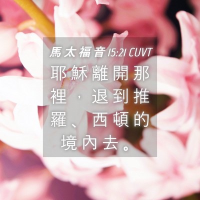 Picture 04 - 馬 太 福 音 15:21 CUVT - 耶 穌 離 開 那 裡 ， 退 到 推 羅 、 - Bible Verse Picture