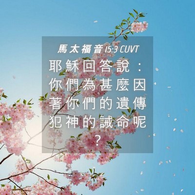 Picture 04 - 馬 太 福 音 15:3 CUVT - 耶 穌 回 答 說 ： 你 們 為 甚 麼 因 - Bible Verse Picture