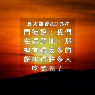 Picture 04 - 馬 太 福 音 15:33 CUVT - 門 徒 說 ： 我 們 在 這 野 地 ， 那 - Bible Verse Picture
