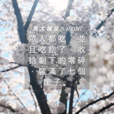 Picture 04 - 馬 太 福 音 15:37 CUVT - 眾 人 都 吃 ， 並 且 吃 飽 了 ， 收 - Bible Verse Picture