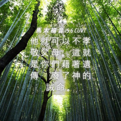 Picture 04 - 馬 太 福 音 15:6 CUVT - 他 就 可 以 不 孝 敬 父 母 。 這 就 - Bible Verse Picture