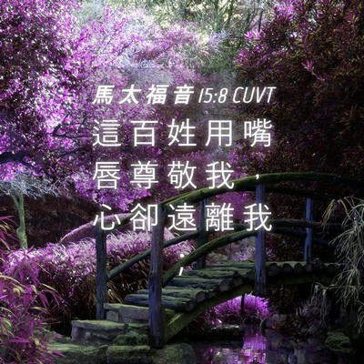 Picture 04 - 馬 太 福 音 15:8 CUVT - 這 百 姓 用 嘴 唇 尊 敬 我 ， 心 卻 - Bible Verse Picture