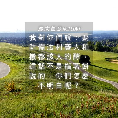 Picture 04 - 馬 太 福 音 16:11 CUVT - 我 對 你 們 說 ： 要 防 備 法 利 賽 - Bible Verse Picture