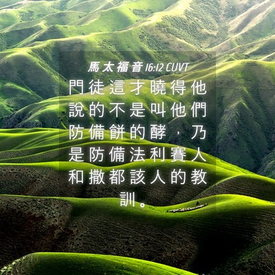 Picture 04 - 馬 太 福 音 16:12 CUVT - 門 徒 這 才 曉 得 他 說 的 不 是 叫 - Bible Verse Picture