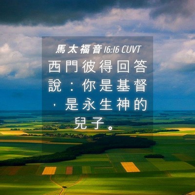 Picture 04 - 馬 太 福 音 16:16 CUVT - 西 門 彼 得 回 答 說 ： 你 是 基 督 - Bible Verse Picture