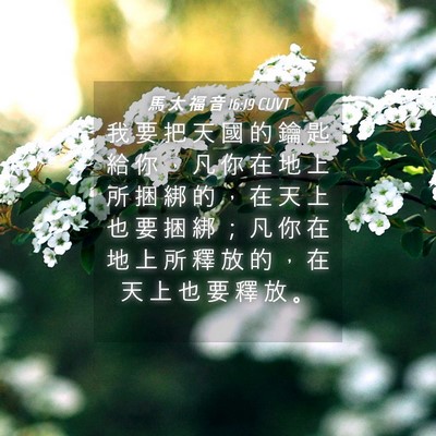 Picture 04 - 馬 太 福 音 16:19 CUVT - 我 要 把 天 國 的 鑰 匙 給 你 ， 凡 - Bible Verse Picture