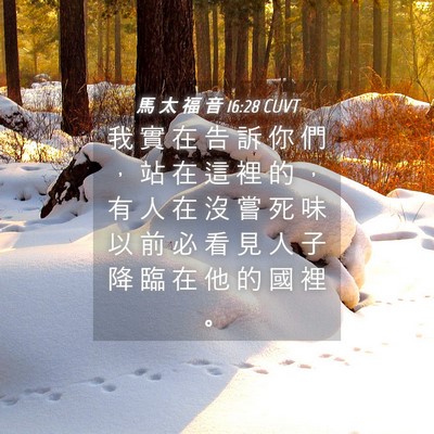 Picture 04 - 馬 太 福 音 16:28 CUVT - 我 實 在 告 訴 你 們 ， 站 在 這 裡 - Bible Verse Picture