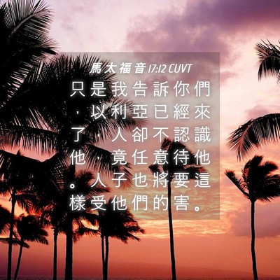 Picture 04 - 馬 太 福 音 17:12 CUVT - 只 是 我 告 訴 你 們 ， 以 利 亞 已 - Bible Verse Picture