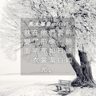 Picture 04 - 馬 太 福 音 17:2 CUVT - 就 在 他 們 面 前 變 了 形 像 ， 臉 - Bible Verse Picture