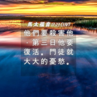Picture 04 - 馬 太 福 音 17:23 CUVT - 他 們 要 殺 害 他 ， 第 三 日 他 要 - Bible Verse Picture