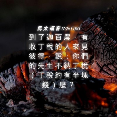 Picture 04 - 馬 太 福 音 17:24 CUVT - 到 了 迦 百 農 ， 有 收 丁 稅 的 人 - Bible Verse Picture