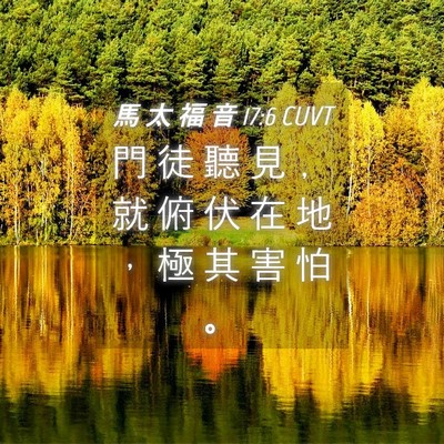 Picture 04 - 馬 太 福 音 17:6 CUVT - 門 徒 聽 見 ﹐ 就 俯 伏 在 地 ， 極 - Bible Verse Picture