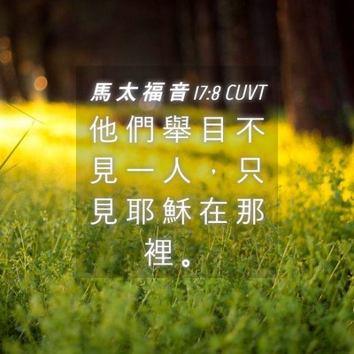 Picture 04 - 馬 太 福 音 17:8 CUVT - 他 們 舉 目 不 見 一 人 ， 只 見 耶 - Bible Verse Picture