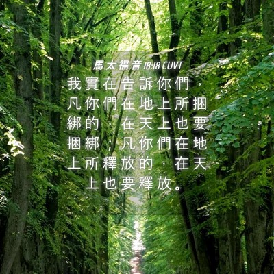 Picture 04 - 馬 太 福 音 18:18 CUVT - 我 實 在 告 訴 你 們 ， 凡 你 們 在 - Bible Verse Picture