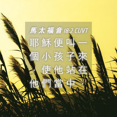 Picture 04 - 馬 太 福 音 18:2 CUVT - 耶 穌 便 叫 一 個 小 孩 子 來 ， 使 - Bible Verse Picture