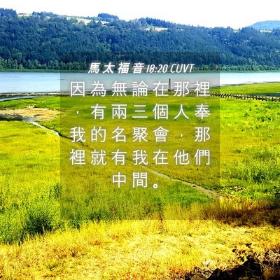 Picture 04 - 馬 太 福 音 18:20 CUVT - 因 為 無 論 在 那 裡 ， 有 兩 三 個 - Bible Verse Picture