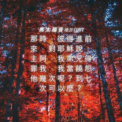 Picture 04 - 馬 太 福 音 18:21 CUVT - 那 時 ， 彼 得 進 前 來 ， 對 耶 穌 - Bible Verse Picture