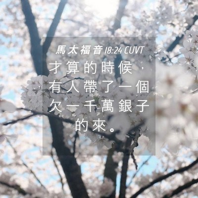 Picture 04 - 馬 太 福 音 18:24 CUVT - 才 算 的 時 候 ， 有 人 帶 了 一 個 - Bible Verse Picture
