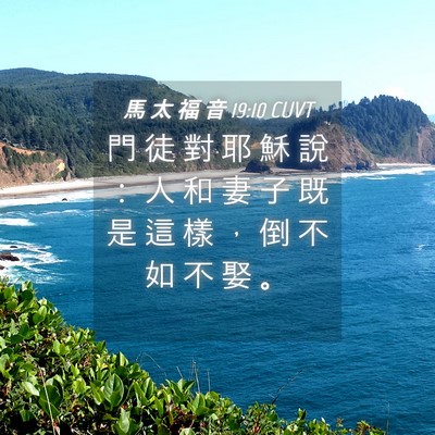 Picture 04 - 馬 太 福 音 19:10 CUVT - 門 徒 對 耶 穌 說 ： 人 和 妻 子 既 - Bible Verse Picture