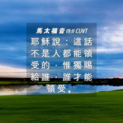 Picture 04 - 馬 太 福 音 19:11 CUVT - 耶 穌 說 ： 這 話 不 是 人 都 能 領 - Bible Verse Picture