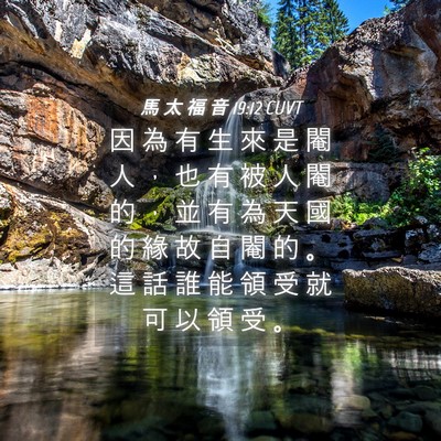 Picture 04 - 馬 太 福 音 19:12 CUVT - 因 為 有 生 來 是 閹 人 ， 也 有 被 - Bible Verse Picture