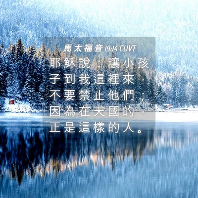 Picture 04 - 馬 太 福 音 19:14 CUVT - 耶 穌 說 ： 讓 小 孩 子 到 我 這 裡 - Bible Verse Picture