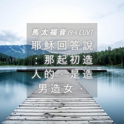 Picture 04 - 馬 太 福 音 19:4 CUVT - 耶 穌 回 答 說 ： 那 起 初 造 人 的 - Bible Verse Picture