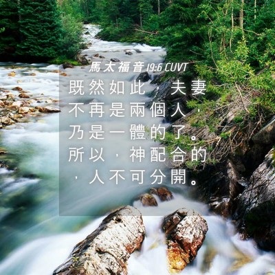 Picture 04 - 馬 太 福 音 19:6 CUVT - 既 然 如 此 ， 夫 妻 不 再 是 兩 個 - Bible Verse Picture